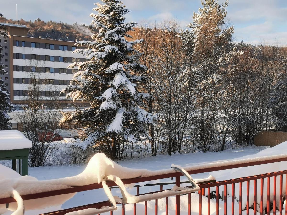Penzion Zornicka Bardejovske Kupele Exterior foto