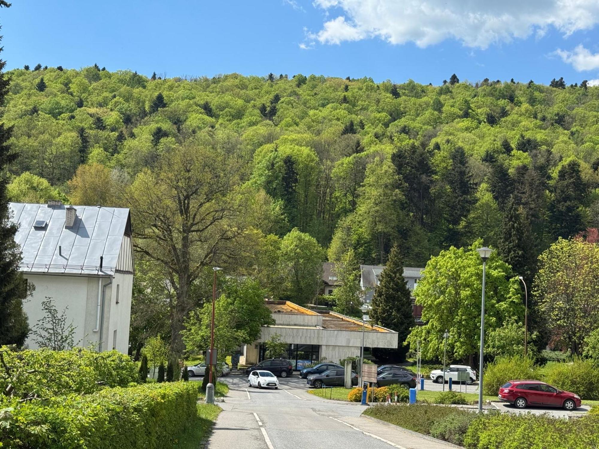 Penzion Zornicka Bardejovske Kupele Exterior foto